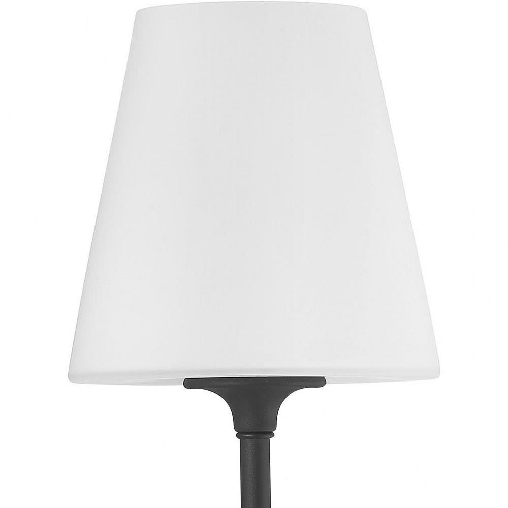 2441-op-bf